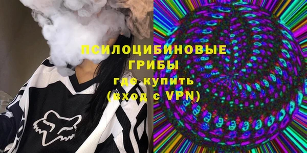 ПСИЛОЦИБИНОВЫЕ ГРИБЫ Баксан