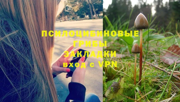 ПСИЛОЦИБИНОВЫЕ ГРИБЫ Баксан