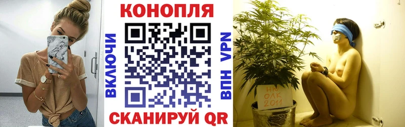 Бошки Шишки ГИДРОПОН  Плавск 